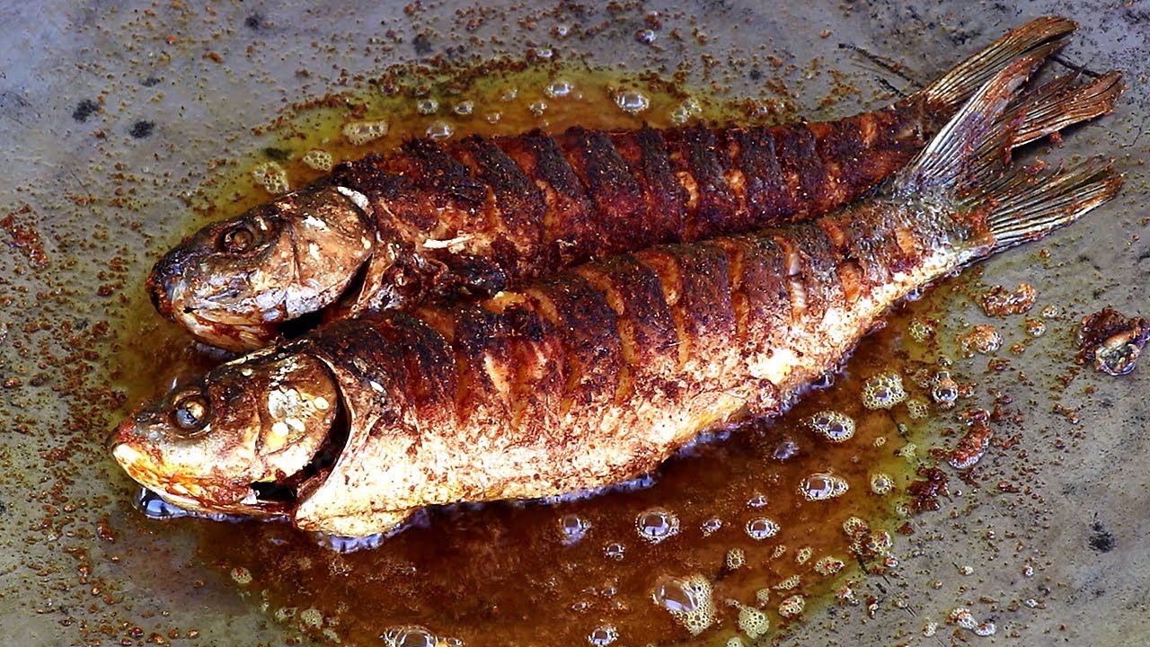 fish tawa